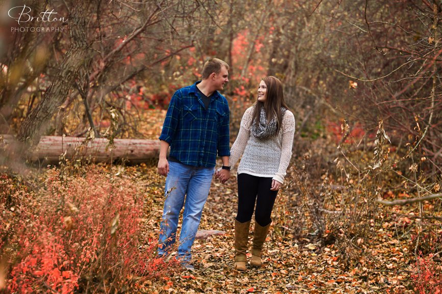 Photo of an engagement session during the fall at Mirabeau Park